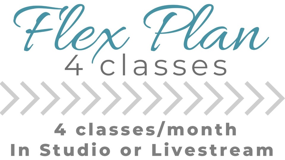 4 Classes Monthly Mini Membership- 12 month Agreement