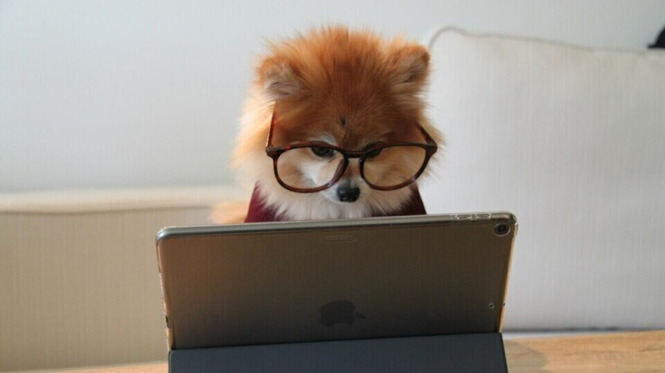 6 Virtual Gestalt Coaching Sessions