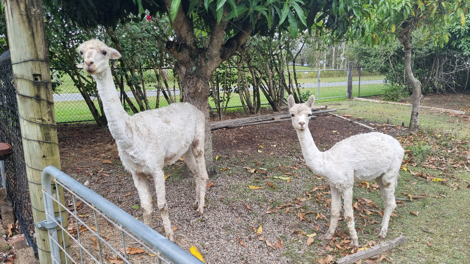 Moreton Bay Healthy And Active 5 Class 