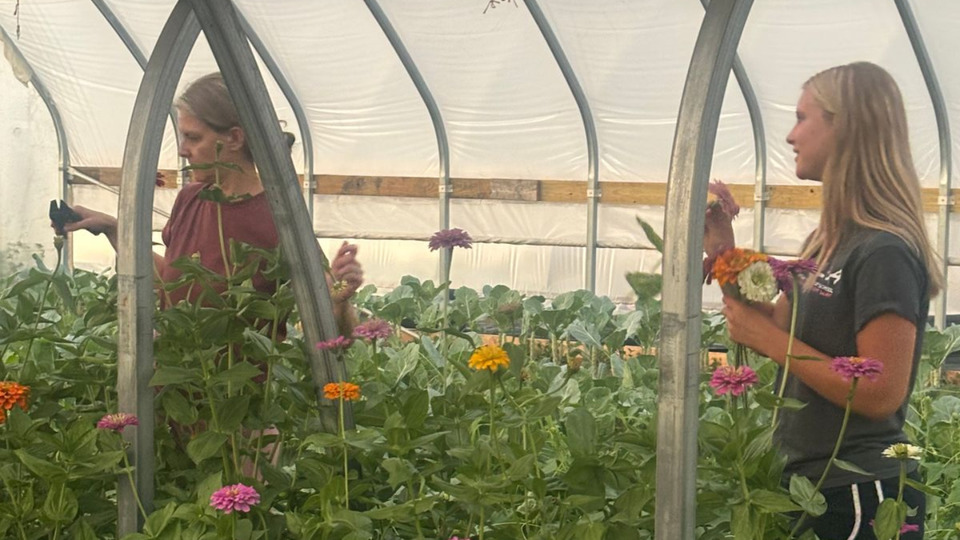 Gray Farms Field-to-Vase Bouquet Making Workshop