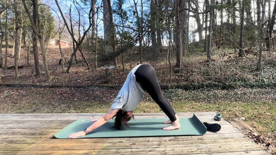 Monthly Online Yoga Videos