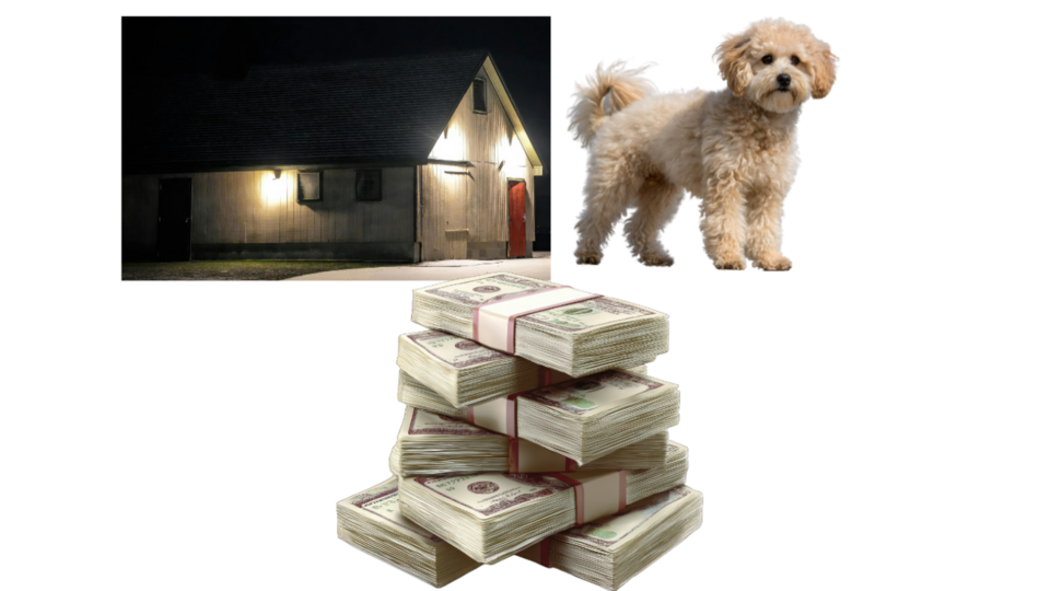 Spiritual Clearing Remote - Pets/Home/Business - 120m