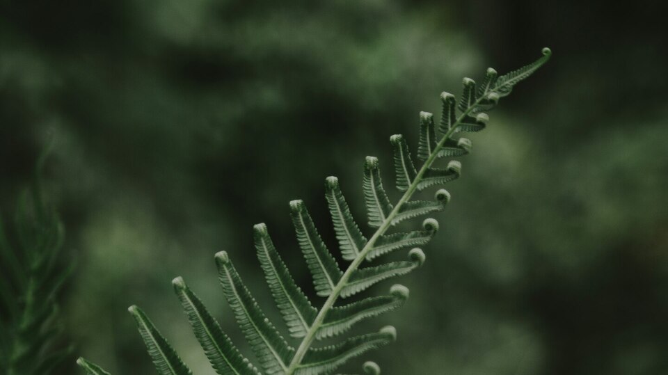 Coming Soon - Rewired