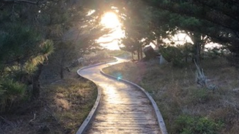 Student and Alumni Mentor Coaching Package