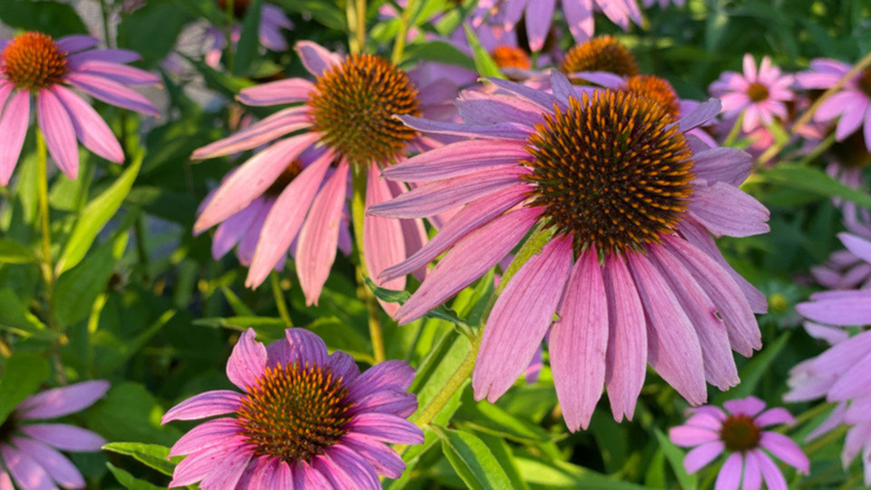 Any 3 sessions, 60 minutes each