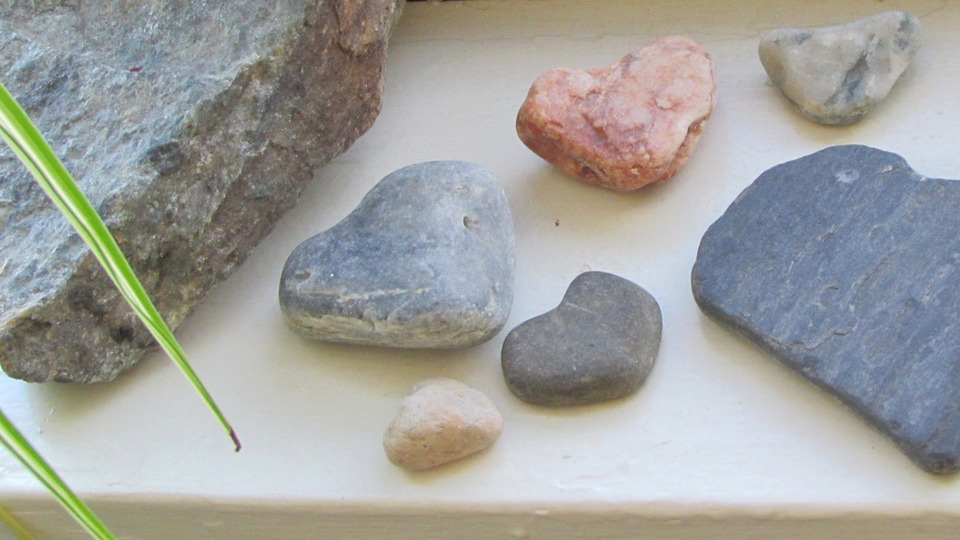 Ongoing Monthly Membership with Autopay