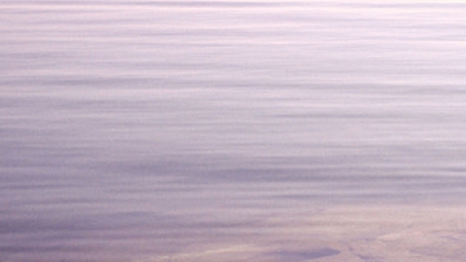 Radical Transformations - 3 Month Coaching Package 