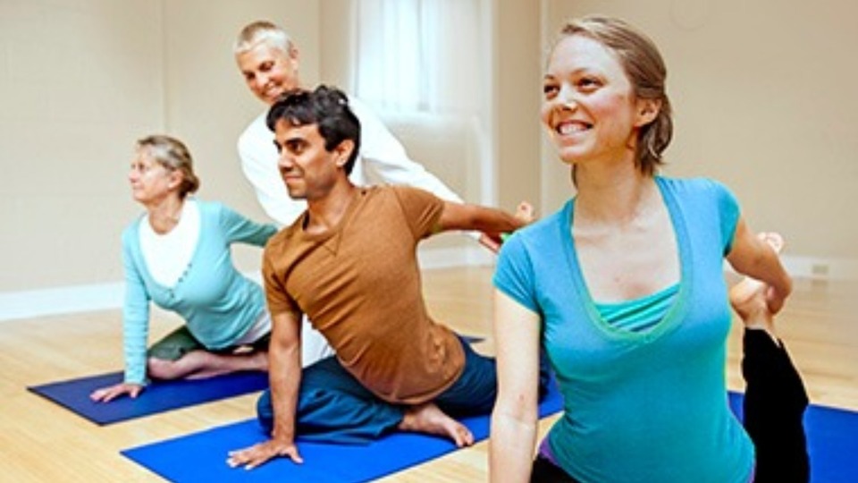 Integral Yoga Virtual Studio Integral Yoga Teachers Association Iyta