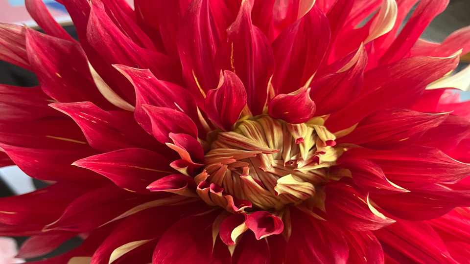 Offering Image