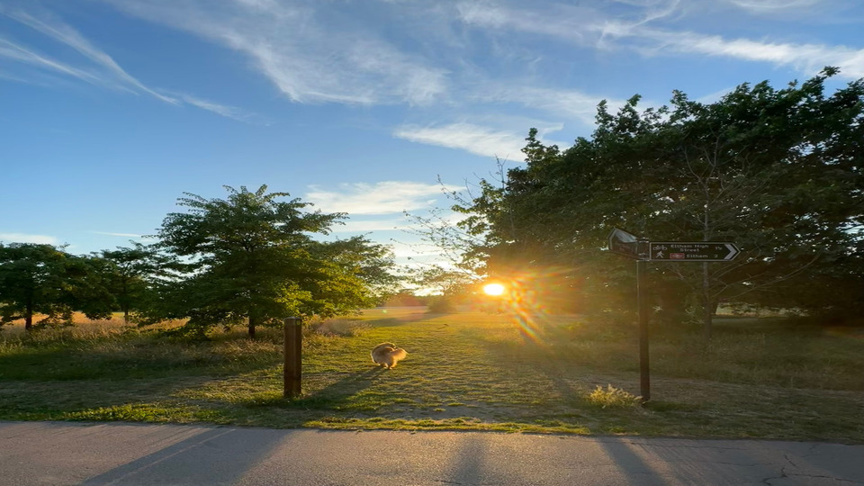 Sunrise yoga