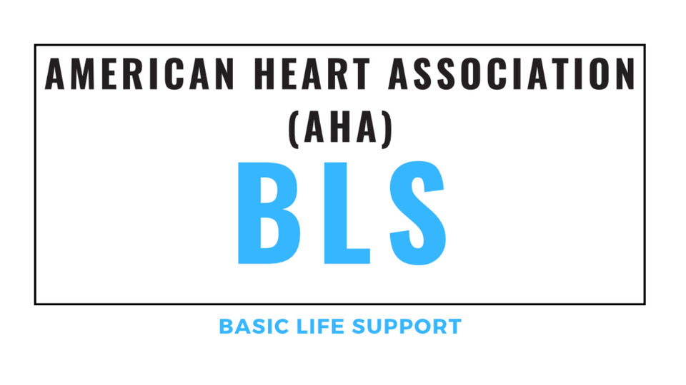 AHA Basic Life Support (BLS) for Healthcare Providers HAVELOCK NC