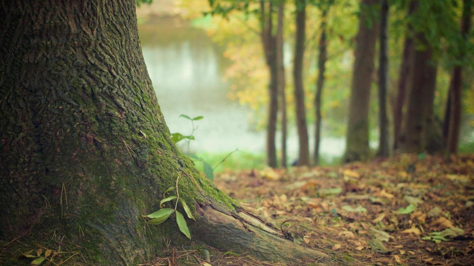 10 Ticket Yoga Draussen