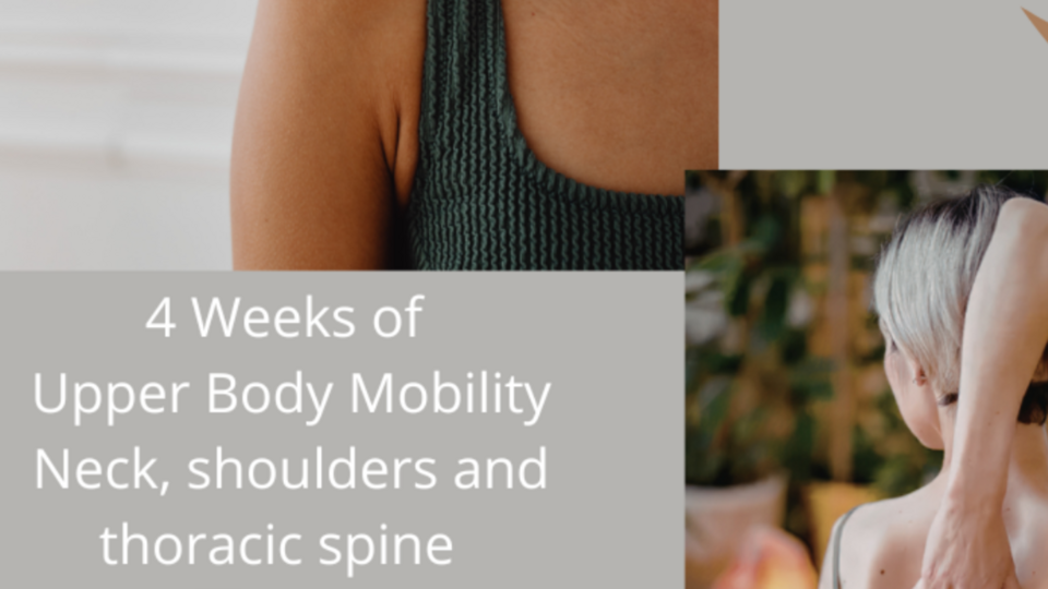 Upper Body Mobility