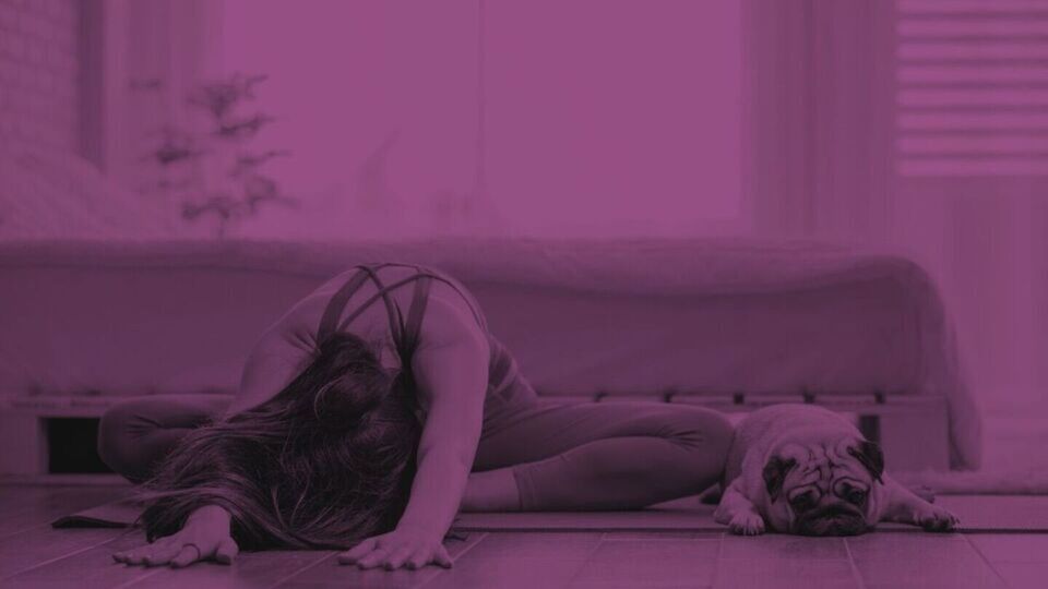 KMY Virtual Membership