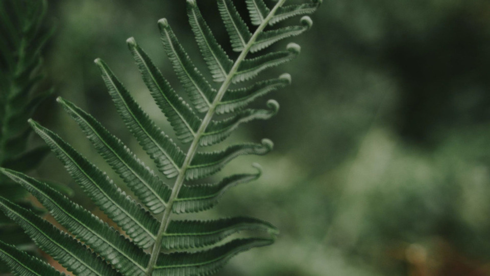 New Student 2 Weeks Unlimited Classes $30