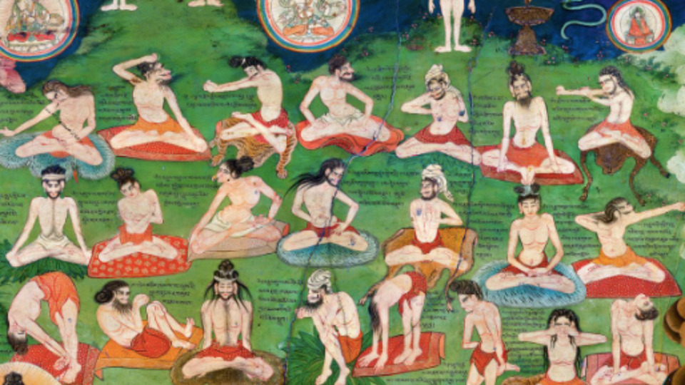 Yoga & Qigong for a Donor