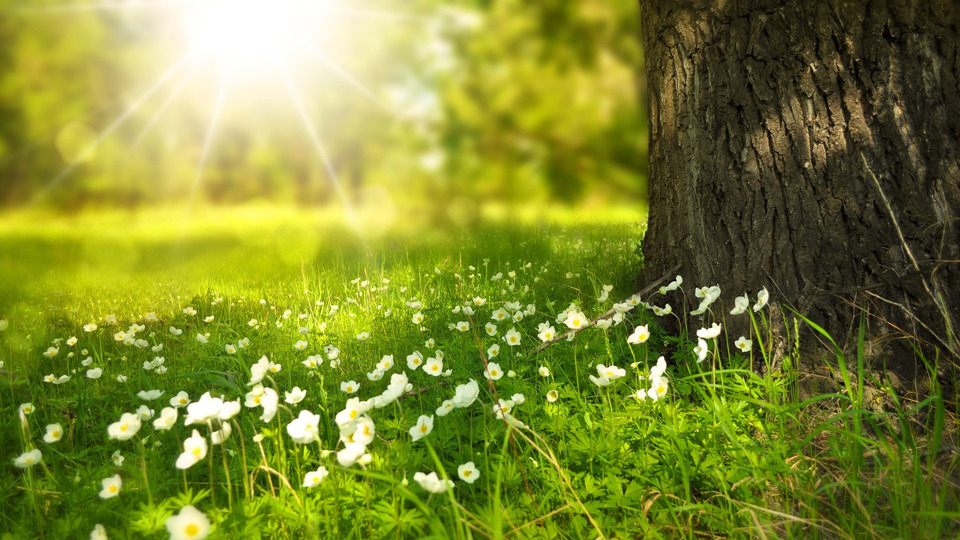 Tap into The Richness of Life: Spring