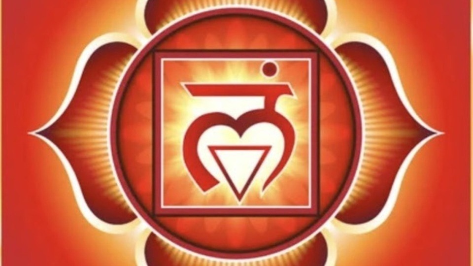 Monthly Member ($25/mo)