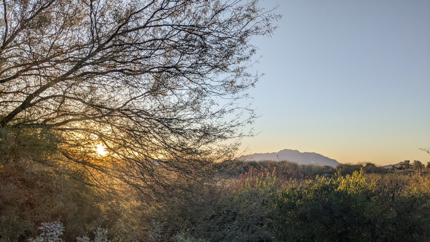 Sunrise Yoga Replay Access Pass