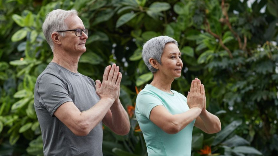 Yoga for Older Adults Annual Live Class Membership