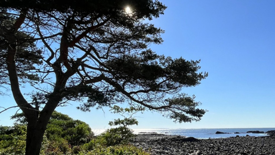 Walking Meditation at Odiorne State Park