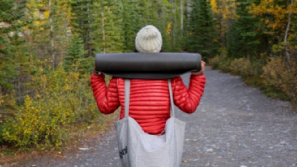 Trauma Informed Practice: On and Off the Mat $525