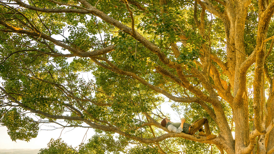 (3) Reiki to Sleep and Restore Sessions with Kelly