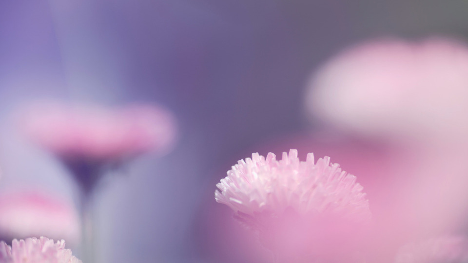Offering Image