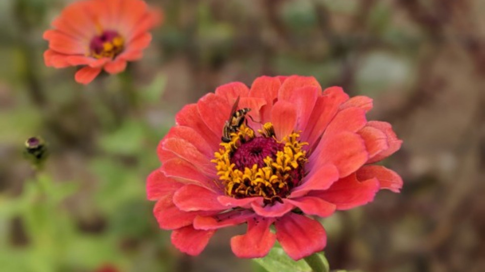 Hearth Yoga Sustainer: *5* Class Package