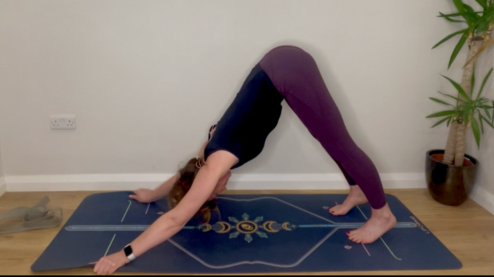 3 Months Online: €60