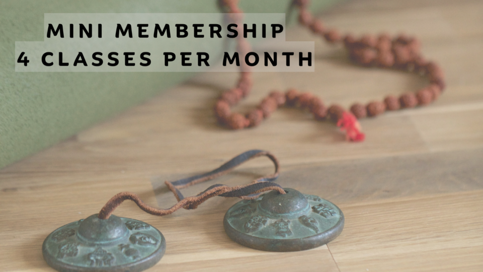 Mini Monthly Membership