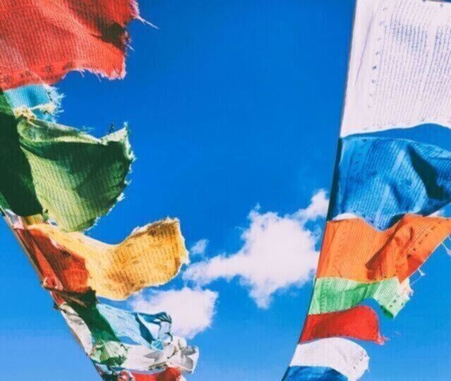 ONLINE | RÉVEIL DU CORPS | Carte 10 cours