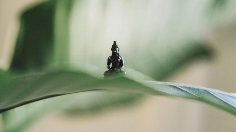 Midday Meditation