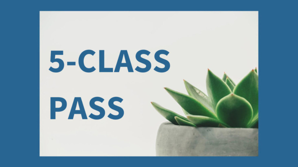 5-Class Pass