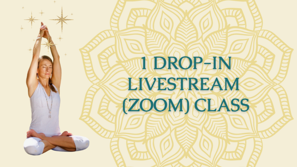 Livestream Class Drop-In