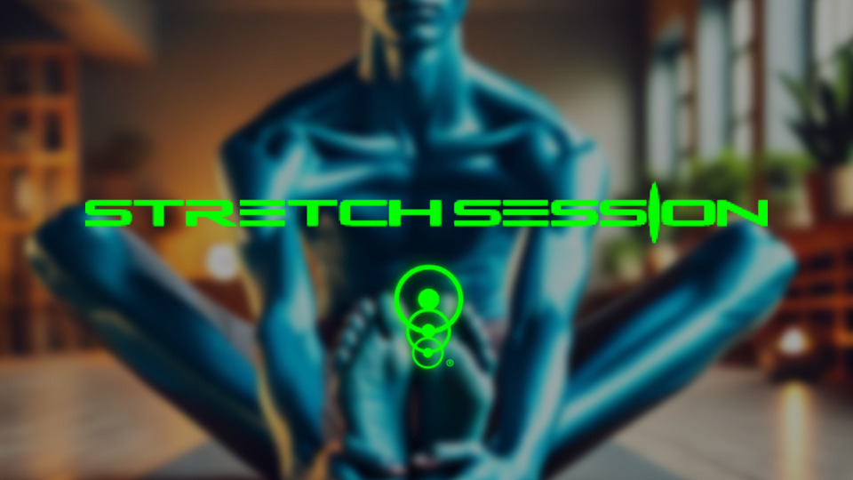 30 MIN PROFESSIONAL STRETCH SESSION 1.0
