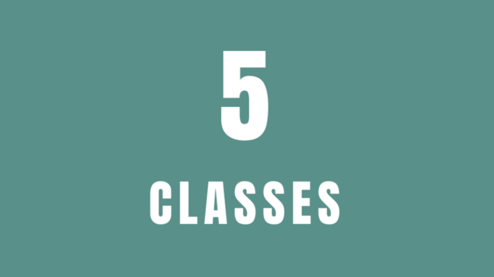 5 Class pass