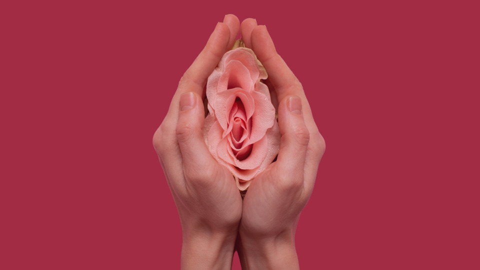 Offering Image