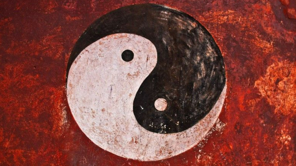 Yin Yang Fusion