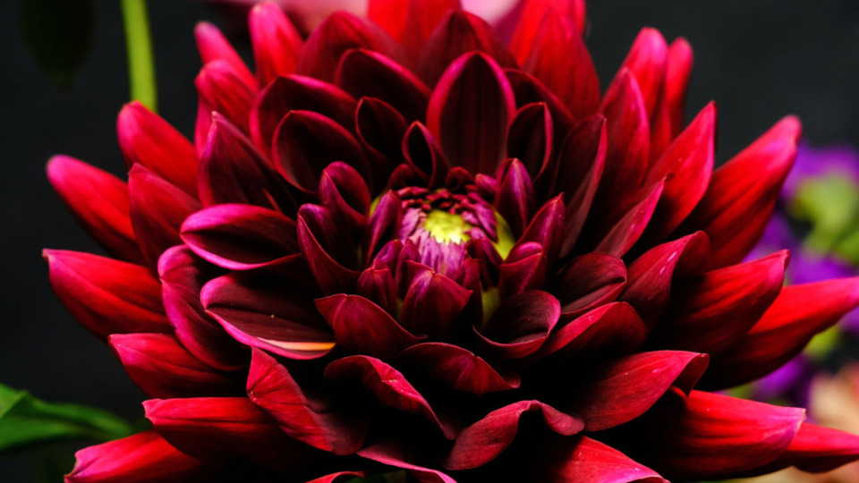 Offering Image