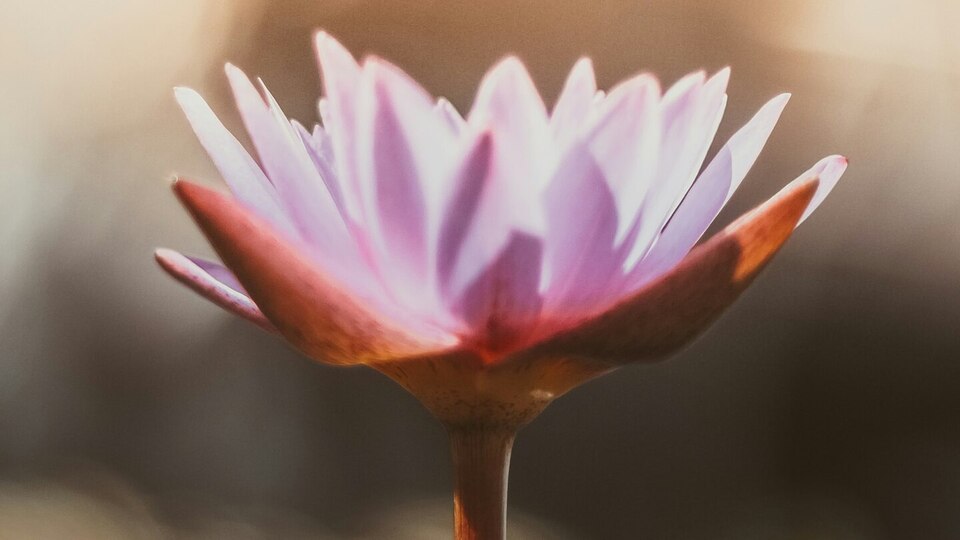 Yoga therapy- 2 months