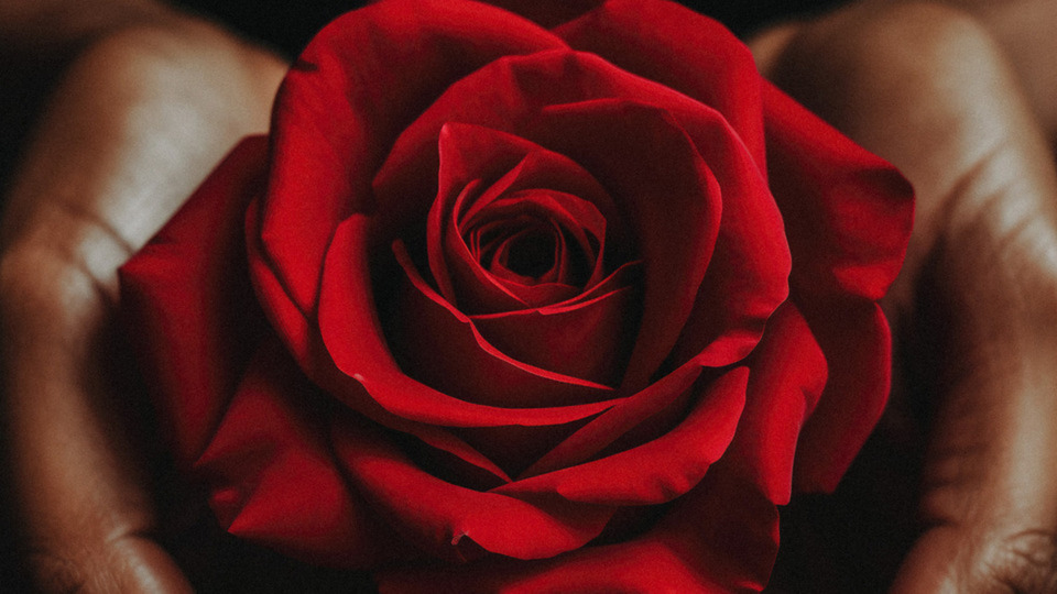 Offering Image