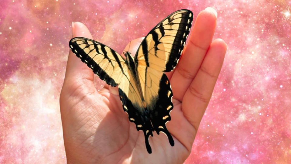 Imago Rites