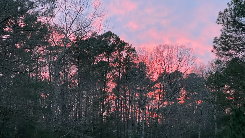 Online Private Yoga Sessions--3 Class Package