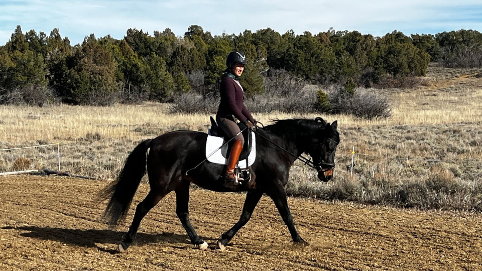 60 minute horse training session