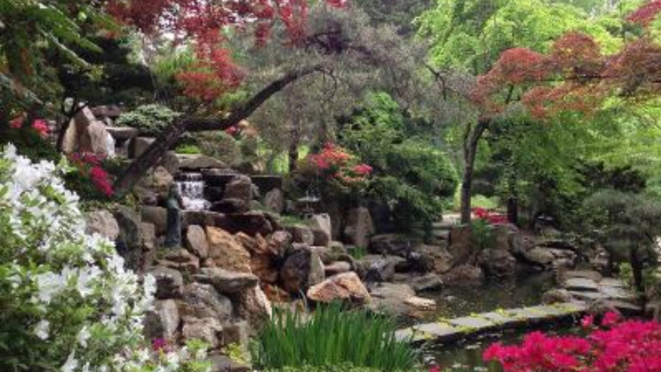 Single Video Purchase