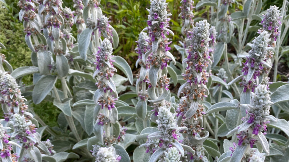 Any 3 sessions, 90 minutes each