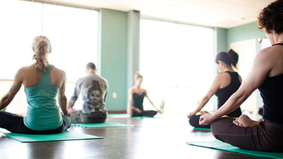 Sustaining Sunflower Membership