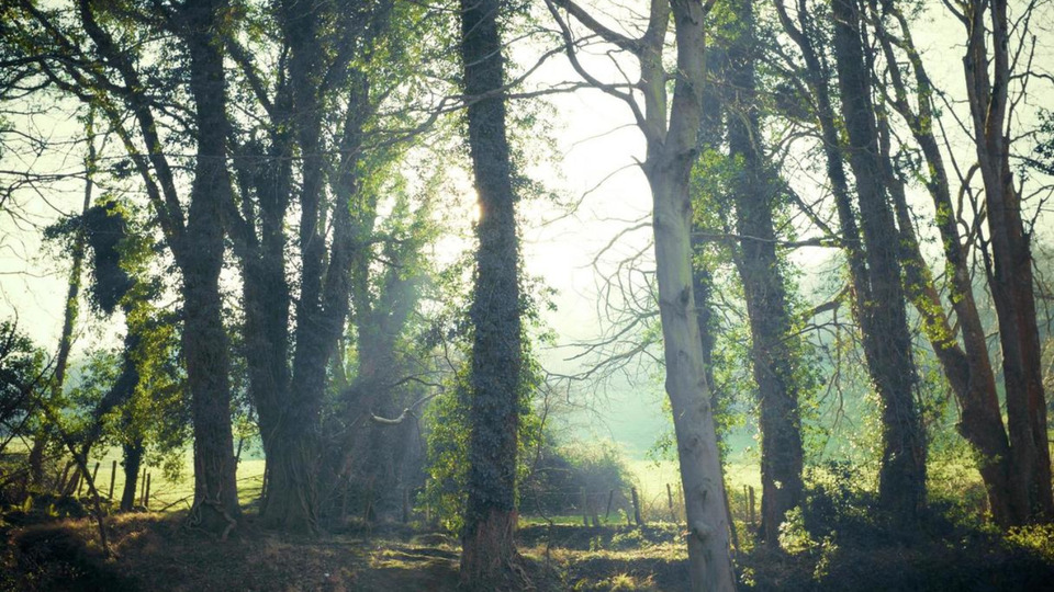 Strength Membership / $45