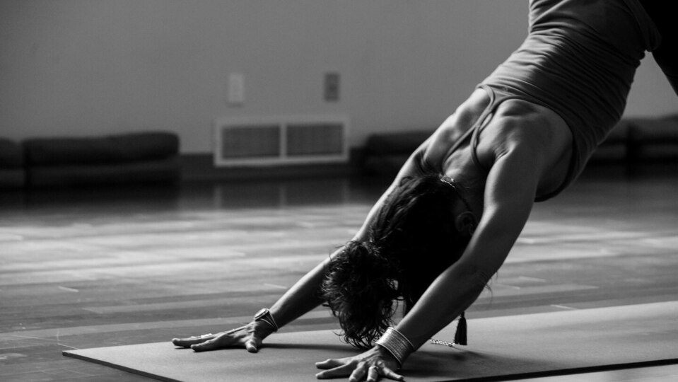 6-Month Membership 2026